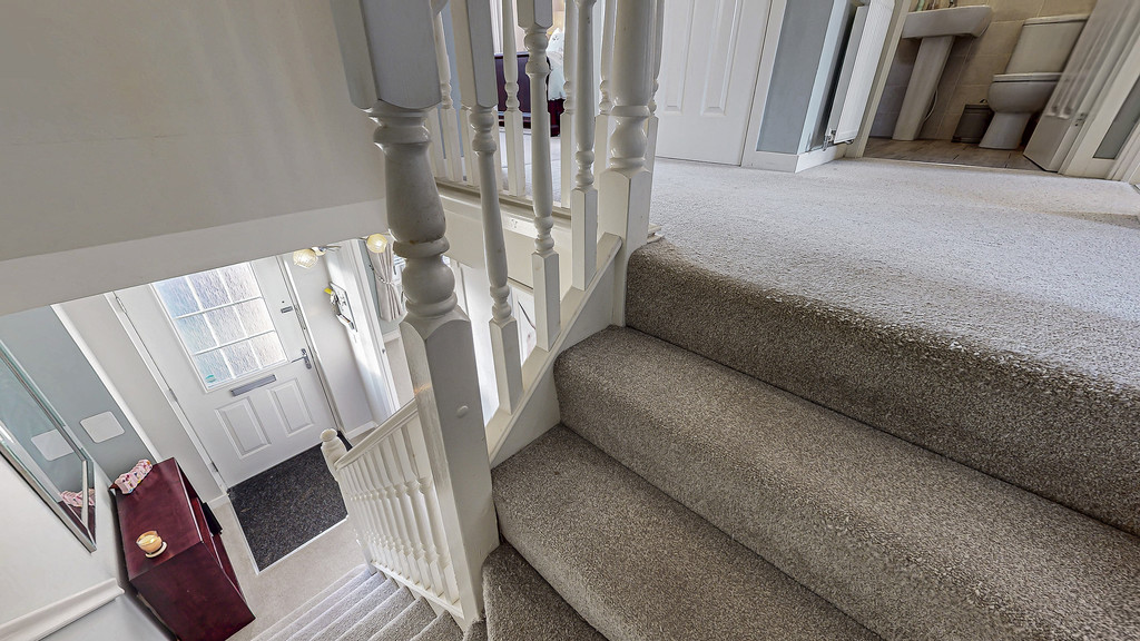 IMG_5569_19_large-703