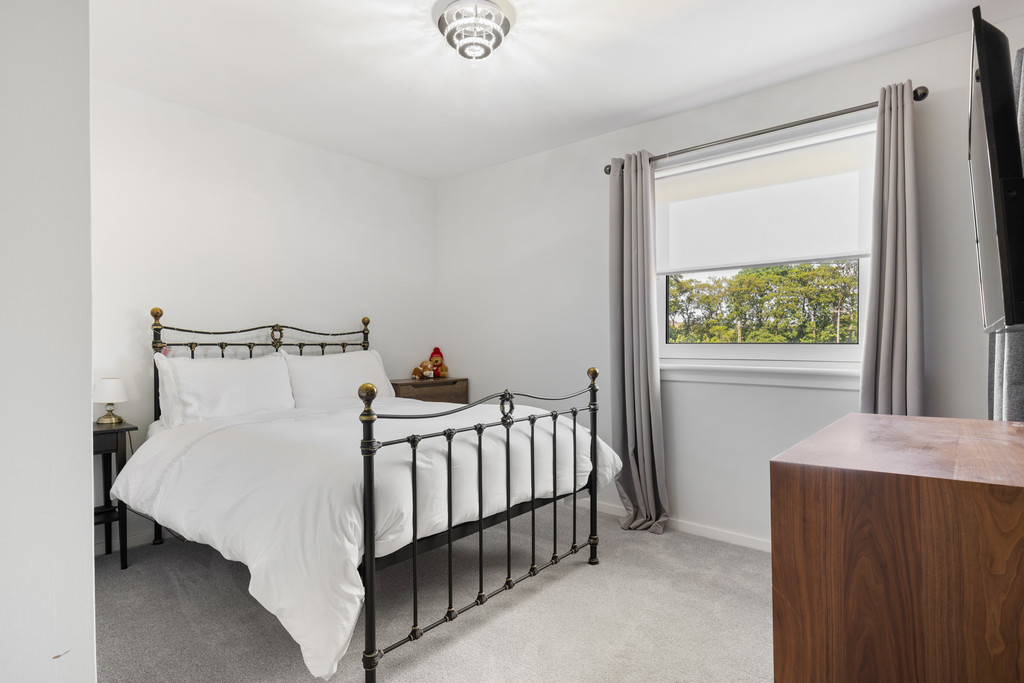IMG_5883_4_large