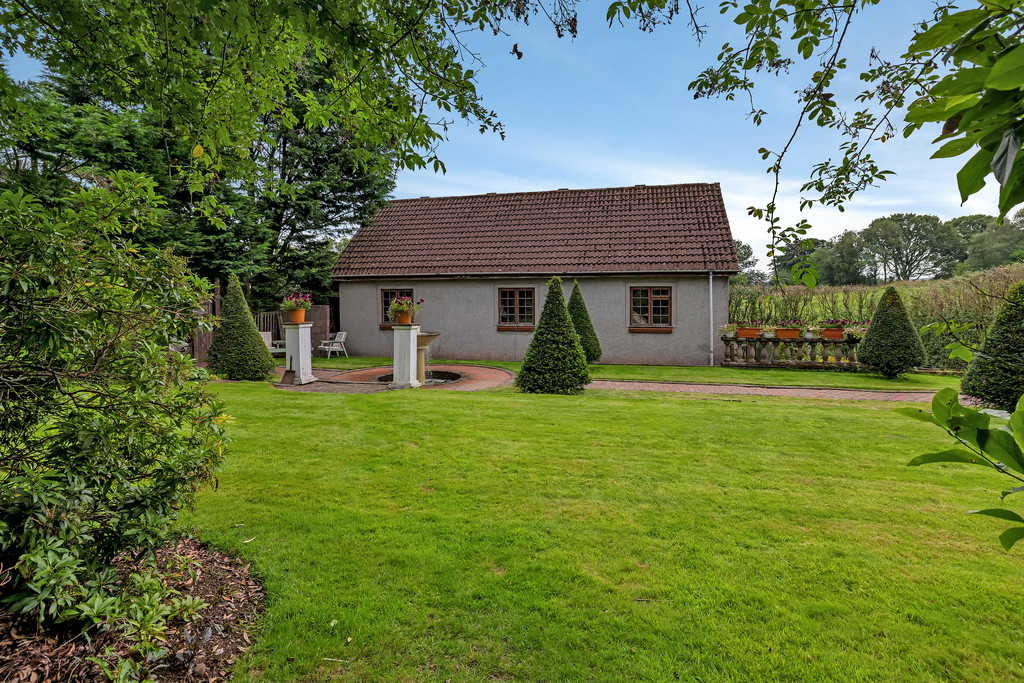 IMG_5916_53_large