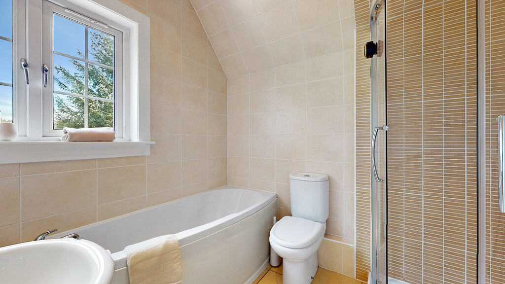 IMG_5949_55_large